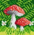 /album/huby/muchotravky-jpg/